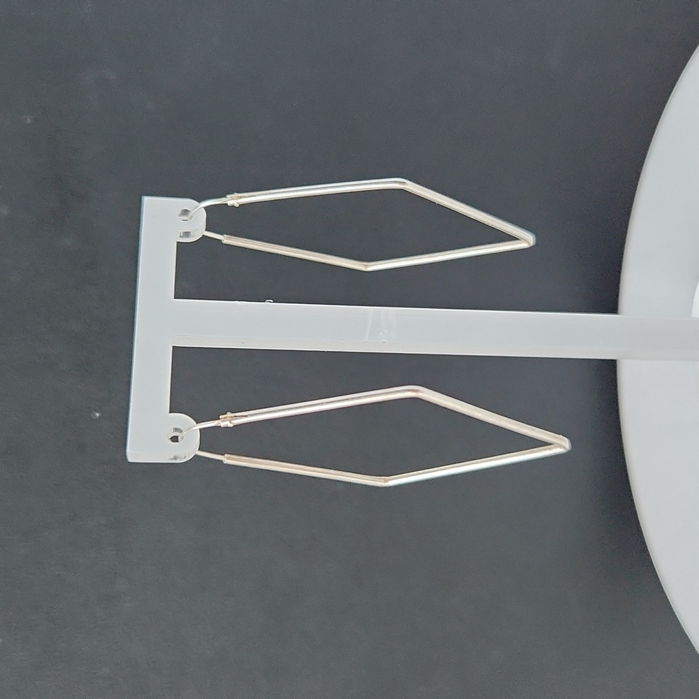 Earrings S925